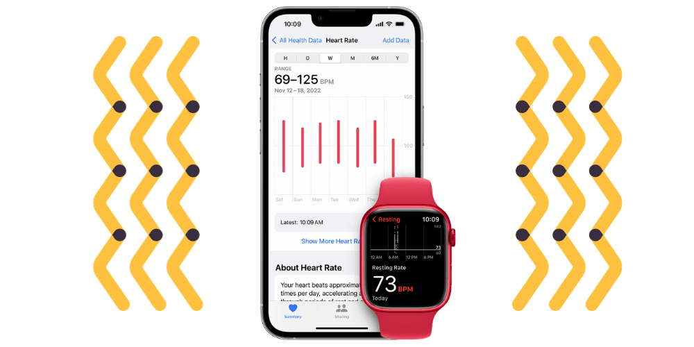 Apple Watches Heart Rate